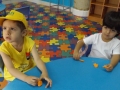 DSCF2520