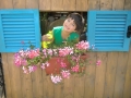 CIMG0461