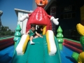 DSCF0007