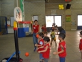 11-Basketball