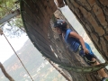 CIMG0540