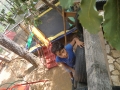 CIMG0548