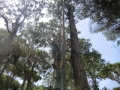 CIMG0600