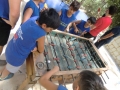 CIMG0603
