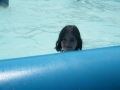 DSCF0030