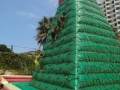 CIMG0860