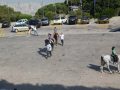 IMG_7640
