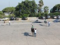 IMG_7644