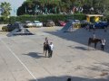 IMG_7647