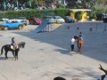 IMG_7649