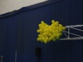 IMG_8357