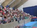 IMG_8358