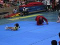 IMG_8682