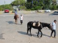 IMG_8026