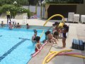 IMG_3222