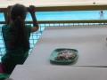 IMG_3231