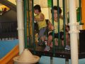 IMG_3553