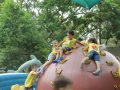 IMG_3630