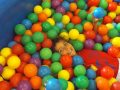 DSCF3053