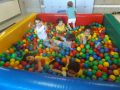 DSCF3303