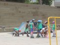 IMG_4210