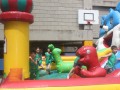 IMG_4217
