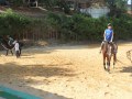 IMG_4340