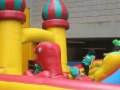 IMG_4546