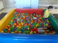 DSCF3786
