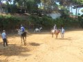IMG_5142