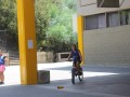 IMG_5316