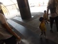 DSCF3878