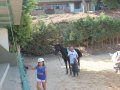 IMG_5641
