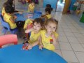 DSCF4269