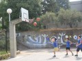 IMG_6426
