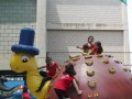 IMG_6560