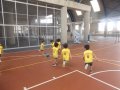 DSCF4542