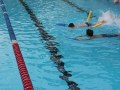 IMG_6811
