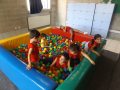 DSCF4638