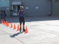 IMG_7217
