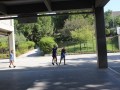 IMG_7231