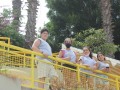 IMG_7481