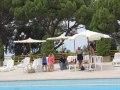 IMG_7533