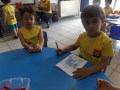 DSCF5246