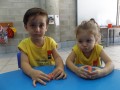 DSCF5253