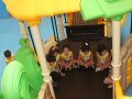 IMG_8163