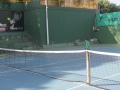 IMG_8289