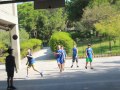 IMG_8342