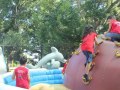 IMG_8688