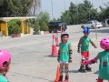 IMG_8719